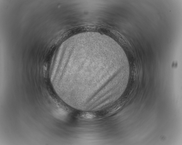 X0000089930610200707201842