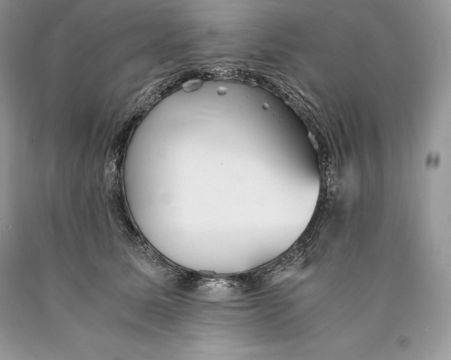 X0000089930611200707201842