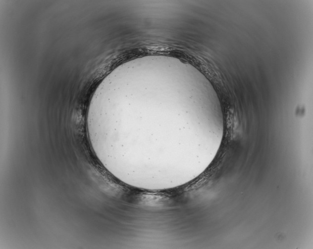 X0000089930614200707201842