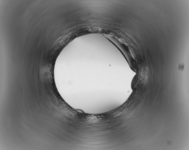 X0000089930616200707201841