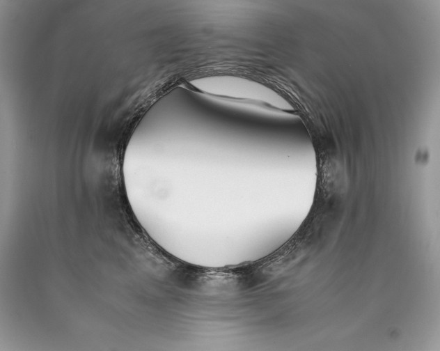 X0000089930617200707201841