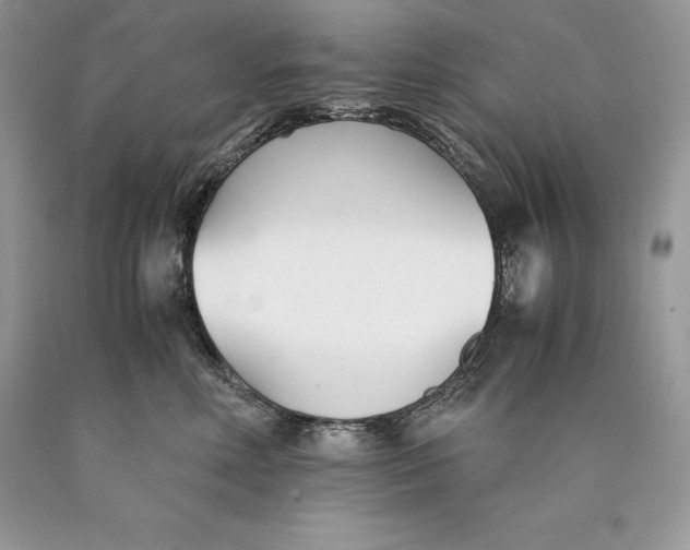 X0000089930618200707201841