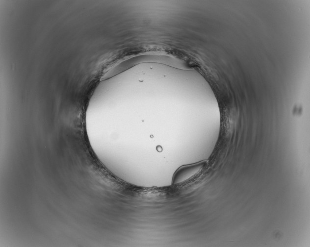 X0000089930619200707201841