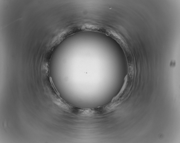 X0000089930621200707201841