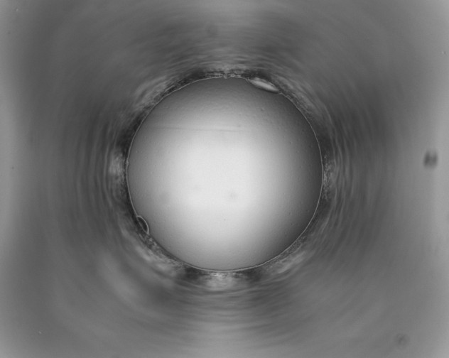 X0000089930623200707201841