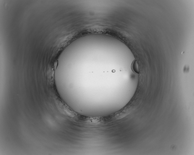 X0000089930624200707201841