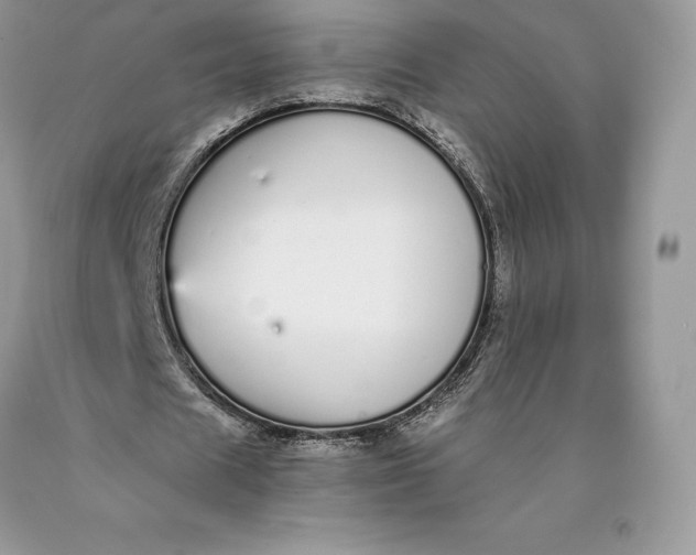 X0000089930625200707201841