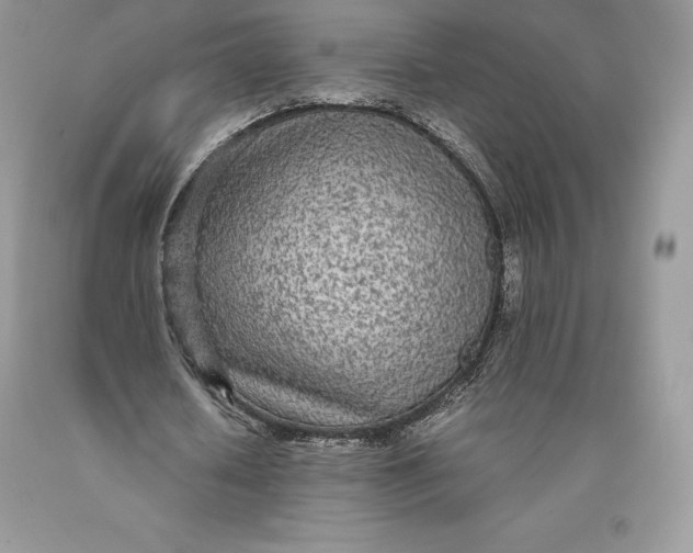 X0000089930626200707201841