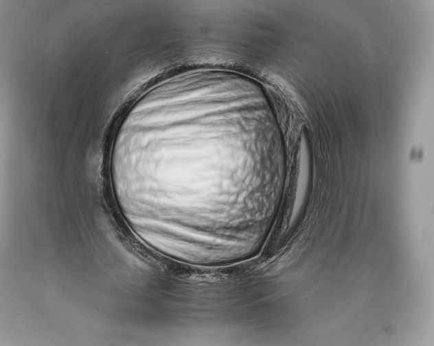 X0000089930627200707201841