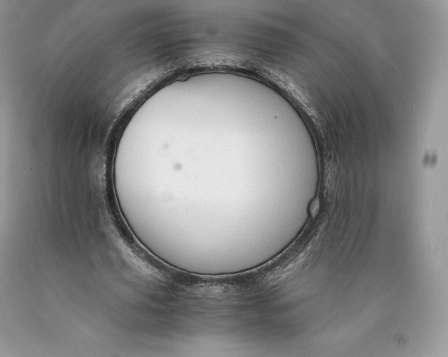 X0000089930629200707201841