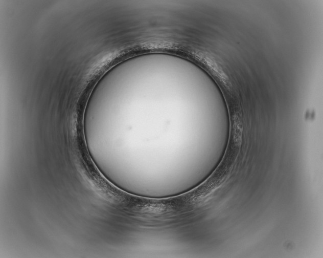 X0000089930631200707201841