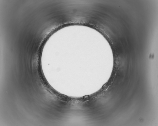 X0000089930632200707201841