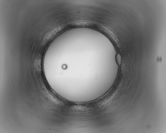 X0000089930633200707201841