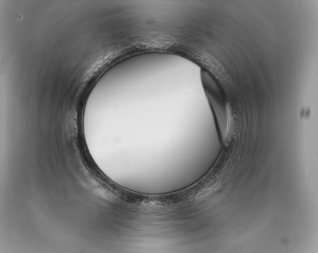 X0000089930634200707201841