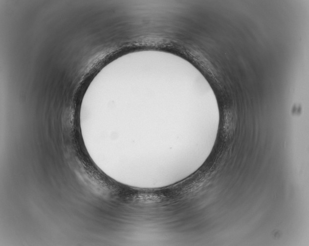 X0000089930636200707201841