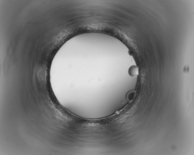 X0000089930637200707201841