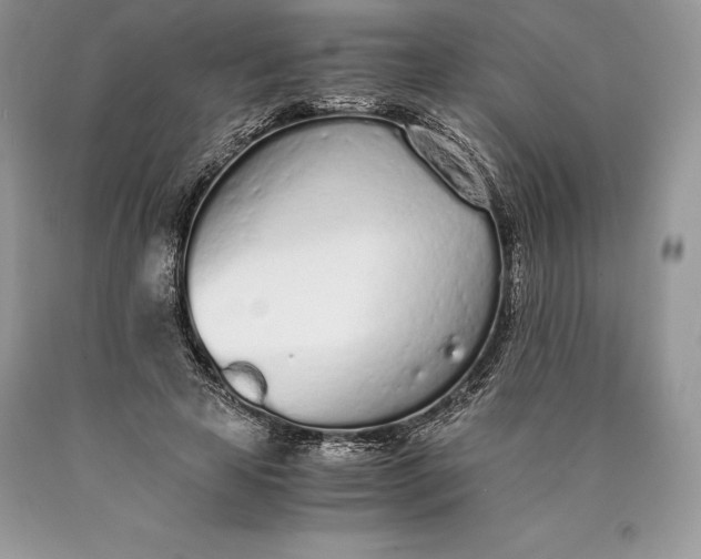 X0000089930641200707201841