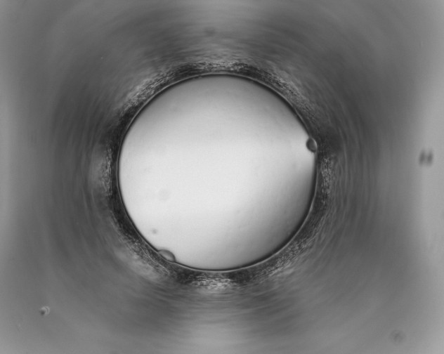 X0000089930642200707201841