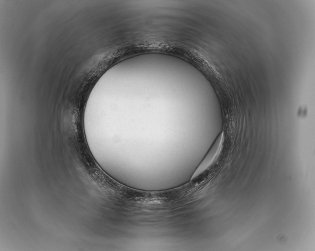 X0000089930643200707201841