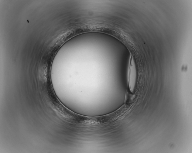 X0000089930644200707201841