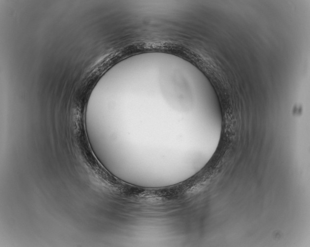 X0000089930648200707201841