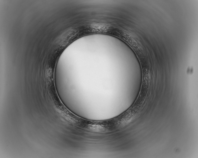 X0000089930649200707201841