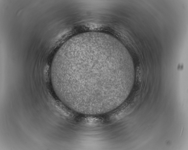 X0000089930650200707201841