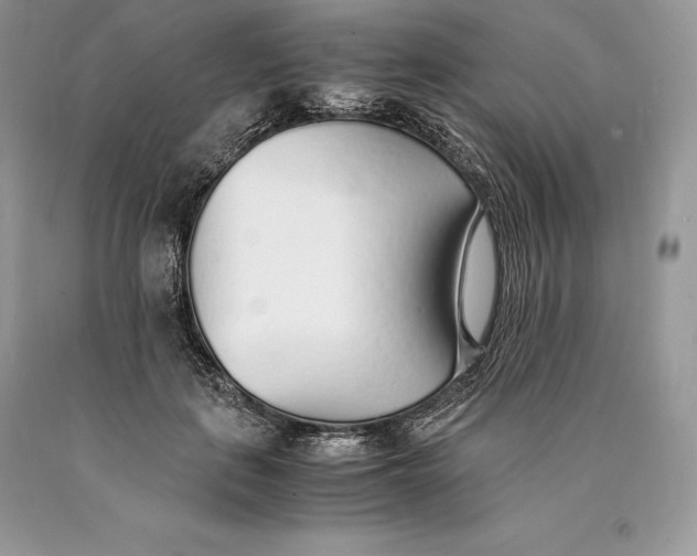 X0000089930651200707201841