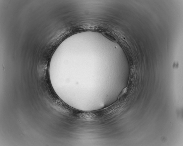 X0000089930652200707201841