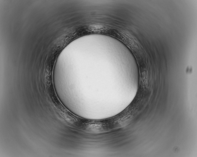 X0000089930653200707201841