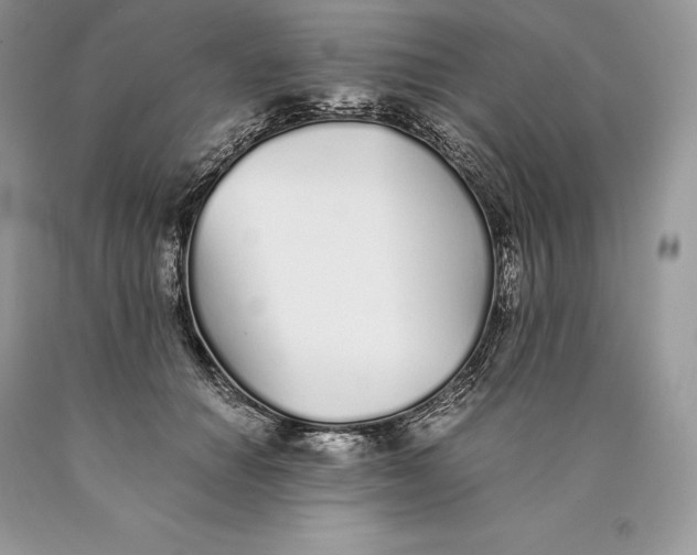 X0000089930654200707201841