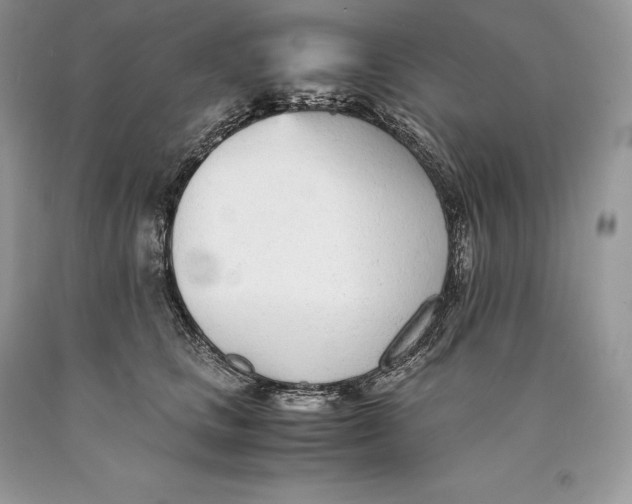 X0000089930661200707201841