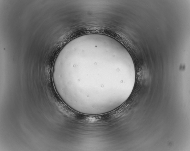 X0000089930662200707201841