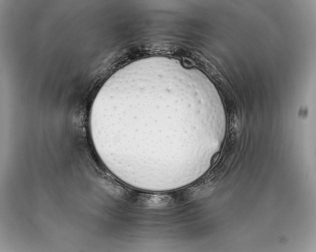 X0000089930663200707201841