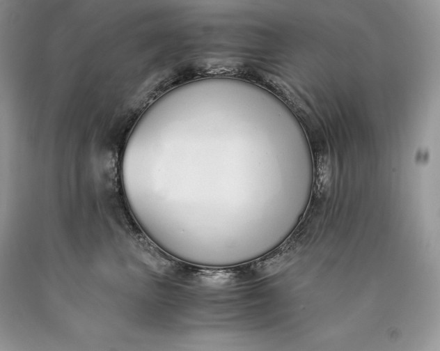 X0000089930667200707201841