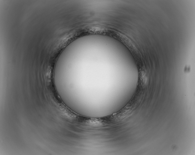 X0000089930668200707201841