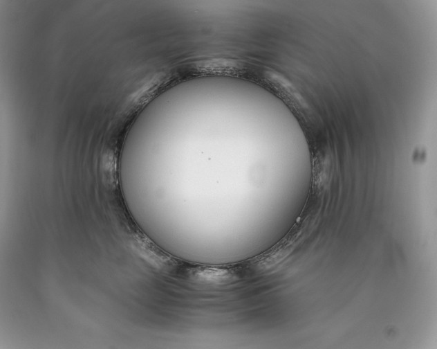 X0000089930669200707201841