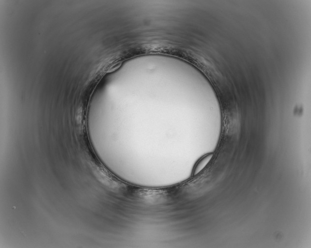 X0000089930670200707201841