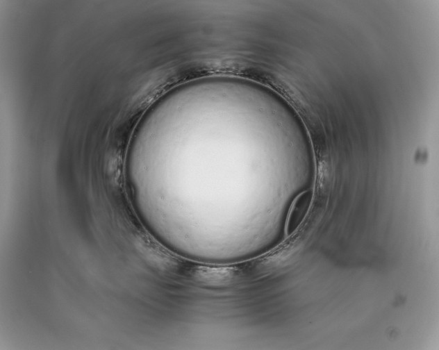 X0000089930671200707201841