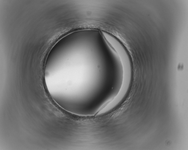 X0000089930673200707201841