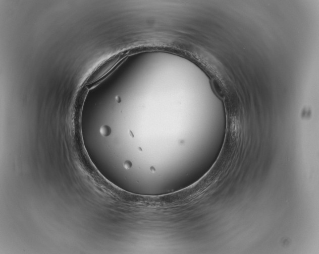 X0000089930676200707201841