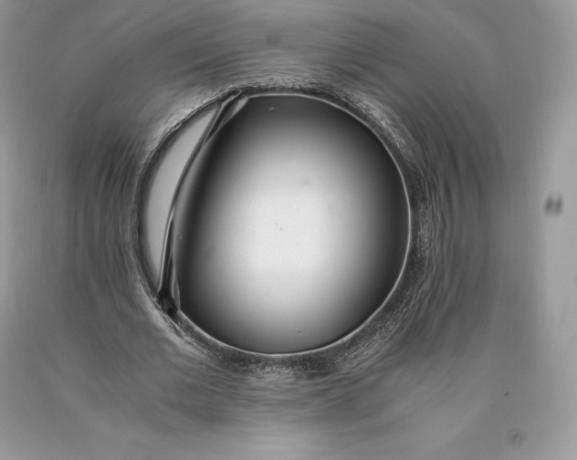 X0000089930677200707201841