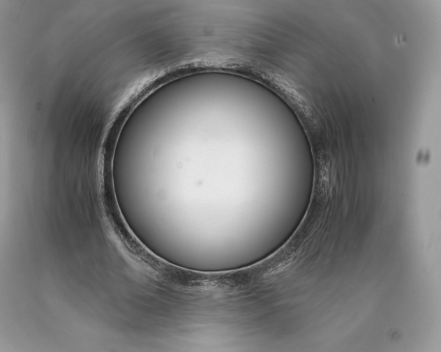 X0000089930678200707201841