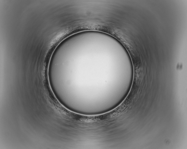 X0000089930679200707201841