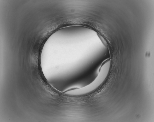 X0000089930681200707201841