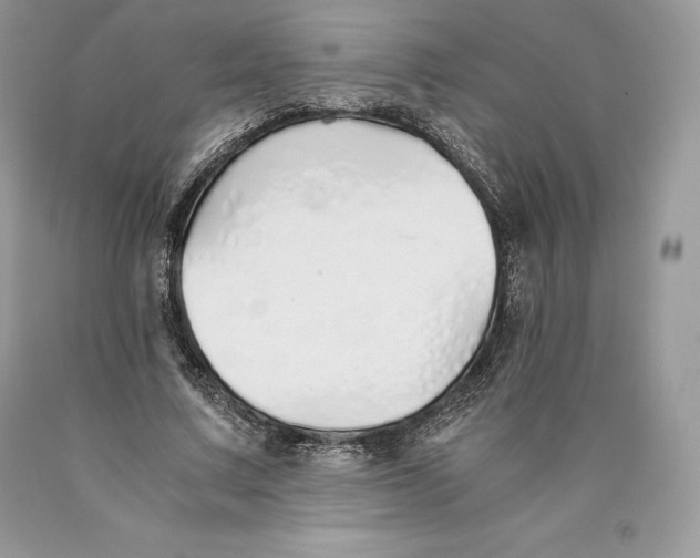 X0000089930683200707201841