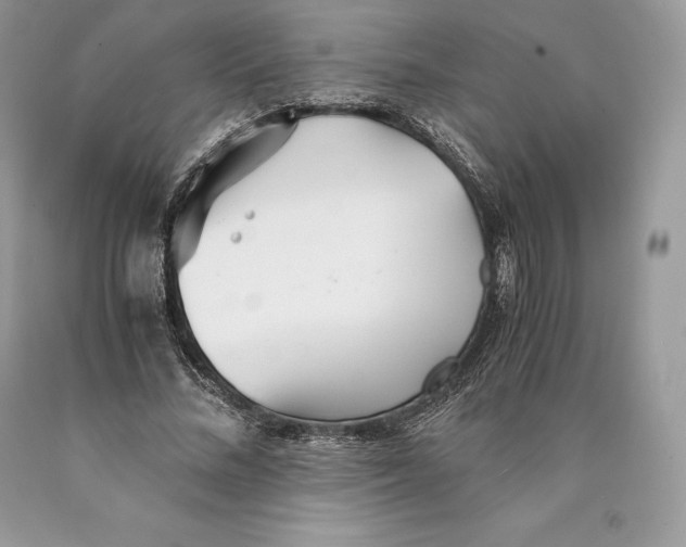 X0000089930684200707201841