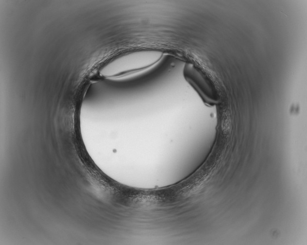 X0000089930685200707201840