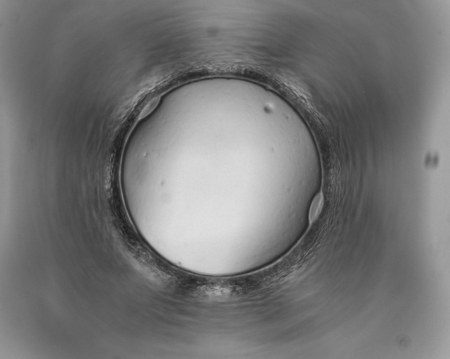 X0000089930687200707201840