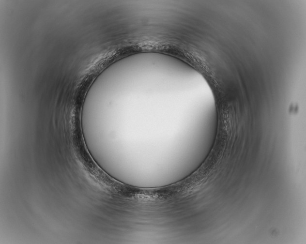 X0000089930690200707201840